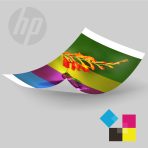 HP Sprocket Studio Plus 4x6" Photo Paper and Cartridges (Includes 108 Sheets and 2 Cartridges) - Image 4